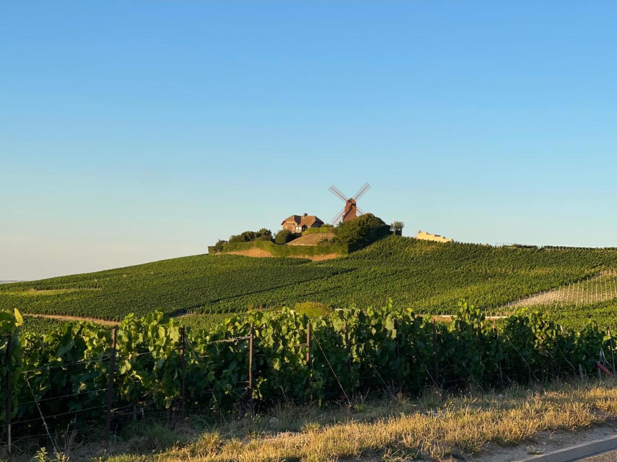 L'Effervescent Lägenhet Reims Exteriör bild