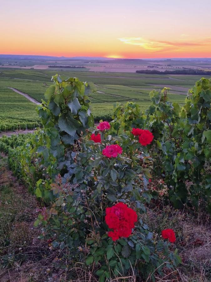 L'Effervescent Lägenhet Reims Exteriör bild