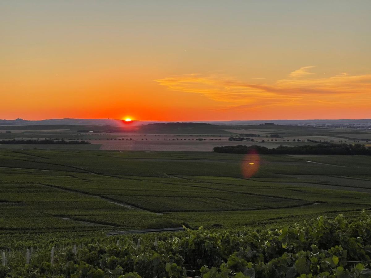 L'Effervescent Lägenhet Reims Exteriör bild